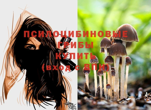 ПСИЛОЦИБИНОВЫЕ ГРИБЫ Аксай